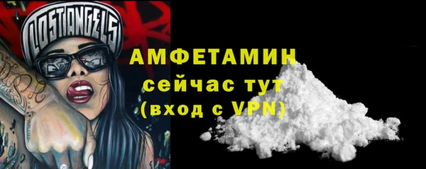 твердый Абаза