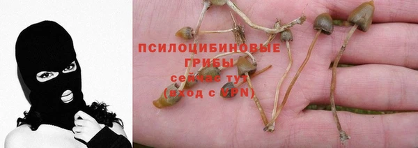 спиды Абдулино